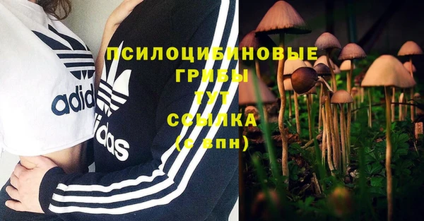 молекула духа Липки