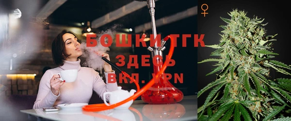 молекула духа Липки