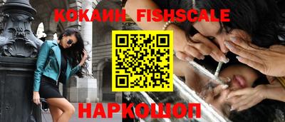 крисы Кинель