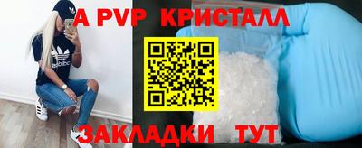 крисы Кинель