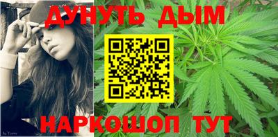 крисы Кинель
