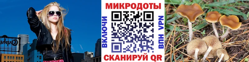 Галлюциногенные грибы прущие грибы  Обнинск 