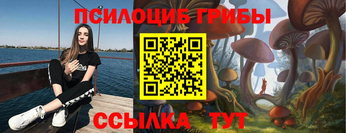 Галлюциногенные грибы Cubensis  даркнет сайт  Обнинск  Вход с VPN 